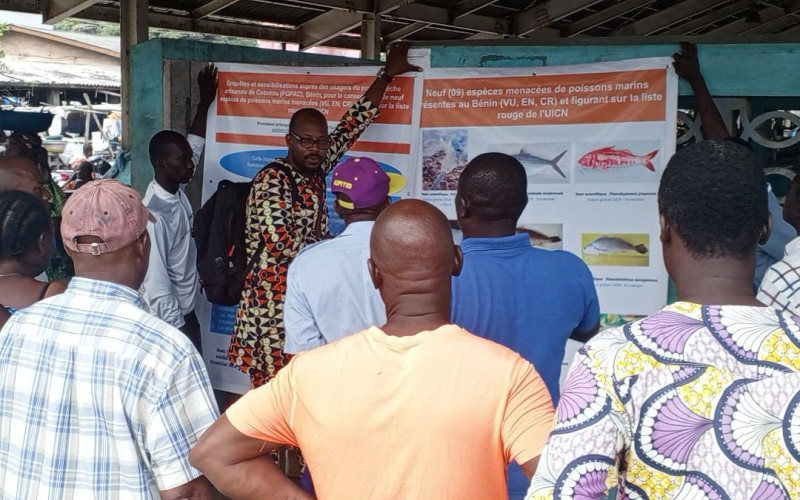 Eco-Nature Ong œuvre pour la réduction des menaces d'origine humaine